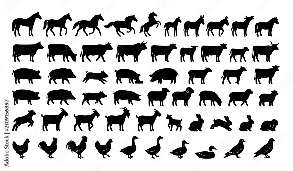 Fototapeta premium Black Farm Animal Silhouette Icon Collection with Poultry Livestock and Fish Vector Set