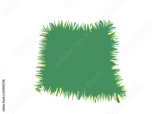 A lush green patch of grass with a textured and irregular organic shape
