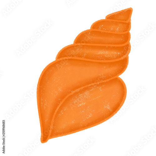 Shell-6