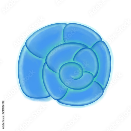 Shell-3