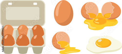 Fotografía Egg Collection Vector Set with Whole Eggs, Cracked Eggs, Fried Egg, Egg Carton,