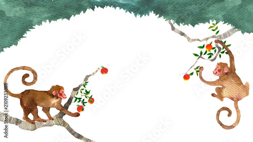 Photography 森でリンゴを採る2匹の猿の手描き和風水彩イラストフレーム（枠・ボーダー素材）
Two monkeys picking apples in the forest,