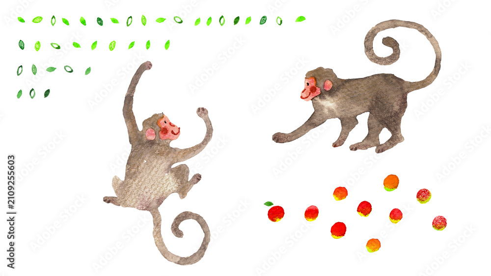Photography Poster 2匹の猿とリンゴの和風手描き水彩イラスト