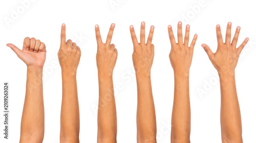 A set of six human hands displaying different numbers from zero to five using finger counts, PNG, isolated on transparent background.