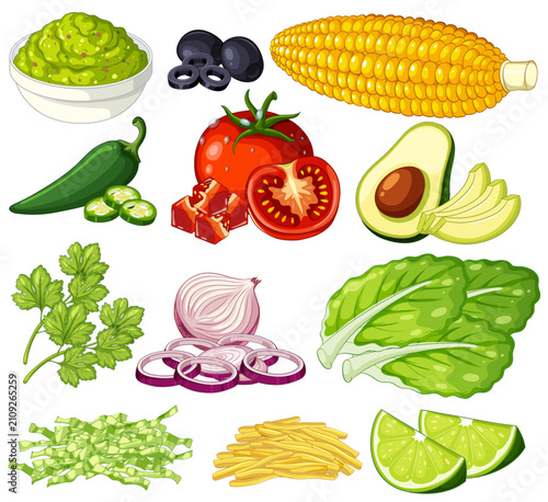 Flat Vector Illustration of Fresh Vegetables and Healthy Cooking Ingredients