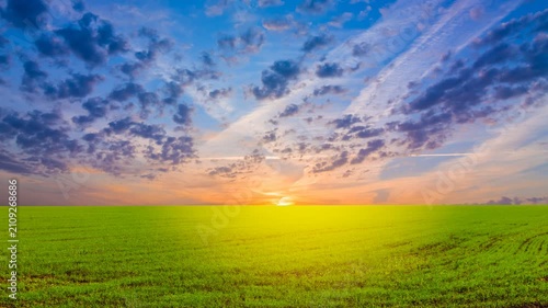 beautiful summer green field at the sunset time lapse scene
