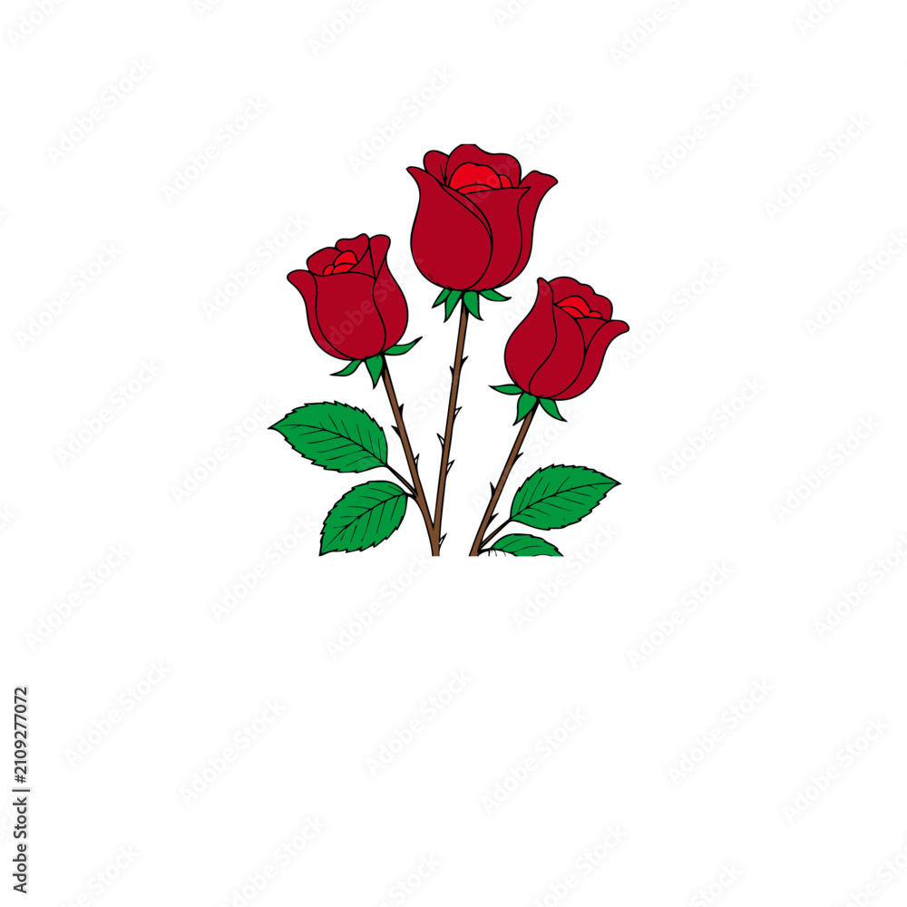 Fototapeta premium Single Red Rose Flower Isolated on White Background with Green Stem Romantic Floral Blossom Symbol of Love Nature Beauty and Valentine's Gift