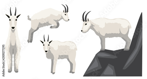Mountain Goat Standing Jumping Vector Illustration