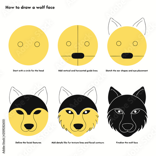 Foto Step by step tutorial on how to draw a wolf face