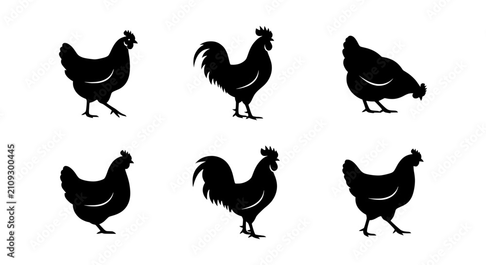 Fototapeta premium Rooster and Hen Silhouettes, Farm Animal Icons, Poultry Vector Graphics, Black and White