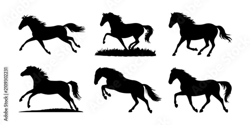 Canvastavla Minimalist black and white vector silhouette of a horse running across grass wit