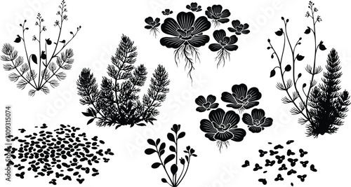 Black silhouette collection of aquatic water plants