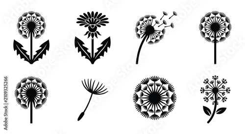 Dandelion Seed Heads Black Silhouette Vector Illustrations On White Background