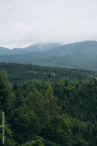 Scenic panoramic view of the Carpathian Mountains with lush green forests