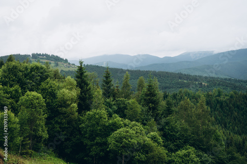 Scenic panoramic view of the Carpathian Mountains with lush green forests