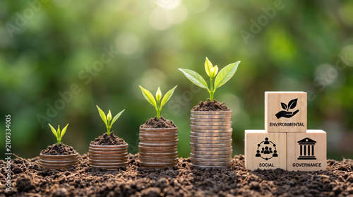 Esg social environmental governance coin seedling finance growth sustainability esg social. Corporate business sustainability strategy. green energy conservation, management responsibility