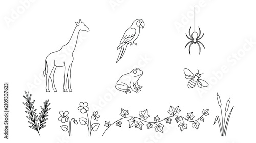 Konstfotografi Minimalist wildlife and nature vector icon set, black and white line art illustr
