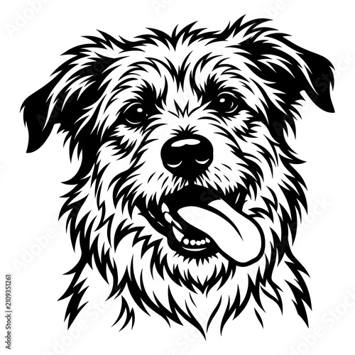 Fluffy Farm Dog Smiling With Tongue Out Isolated On White Background Cute Pet Portrait