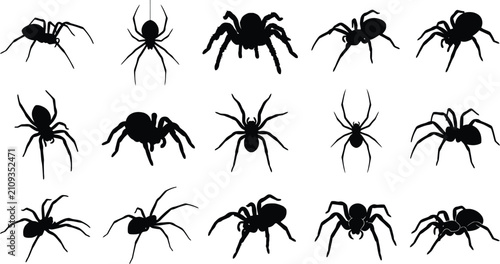 Set of black spider silhouettes isolated on white background for halloween decoration and spooky graphic design projects