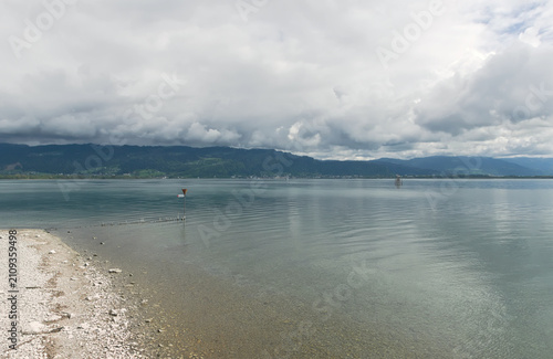 scenic and quiet view of calm lake banks under a cloudy sky