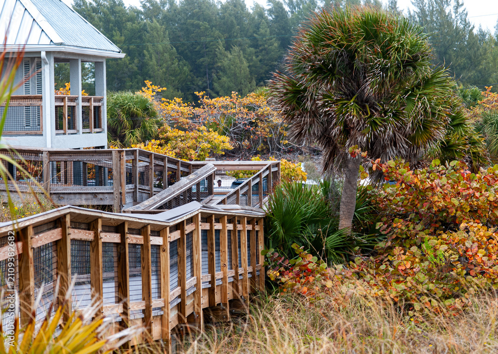 Fototapeta premium beach house with wooden walkway