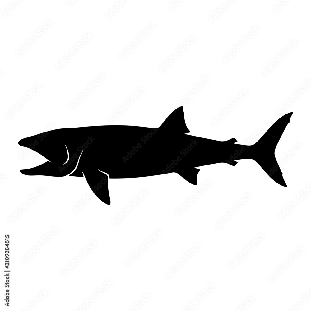 Obraz premium Black silhouette of a shark swimming with mouth open.