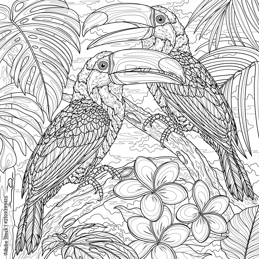 Fototapeta premium Two toucans in the jungle.Coloring book antistress for children and adults. 