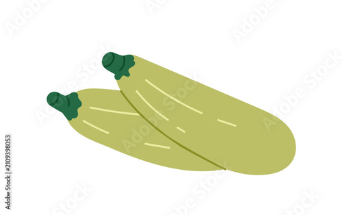 Zucchini vegetables, natural farm food. Green courgettes, organic harvest, ve...