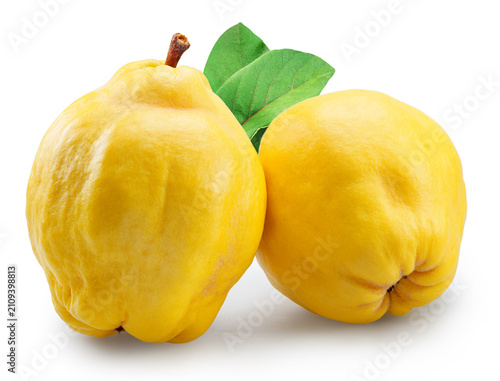 Konstfotografi Two apple quinces with green quince leaves on white background
