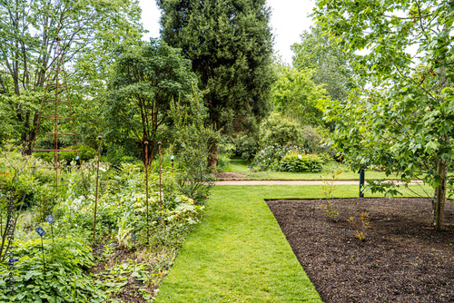 Lush vegetation in the University of Oxford Botanic Garden, the oldest botanic garden in Britain, founded in 1621, Oxford, England, UK. 