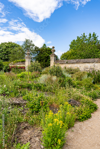Lush vegetation in the University of Oxford Botanic Garden, the oldest botanic garden in Britain, founded in 1621, Oxford, England, UK.