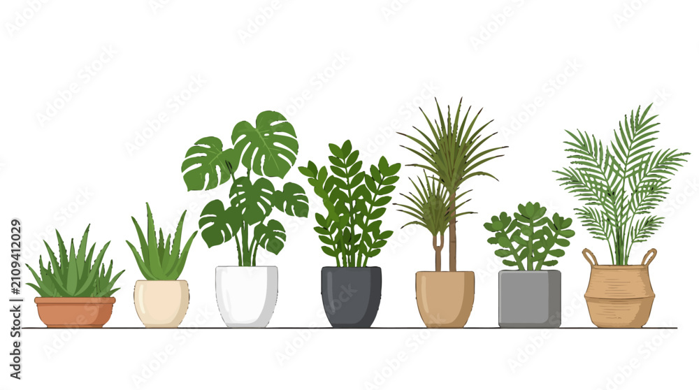 Fototapeta premium Collection of various indoor potted house plants in decorative pots.
