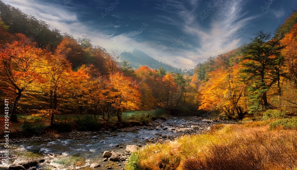 Fototapeta premium Fall In Mountain Forest