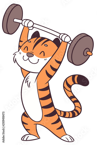 tiger is lifting weights