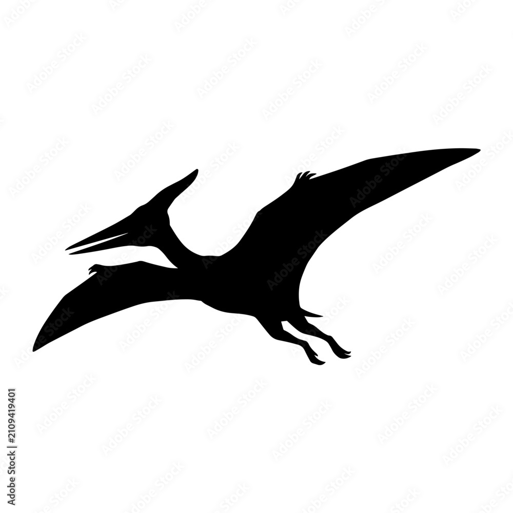 Fototapeta premium Silhouette of a flying pterodactyl dinosaur icon.
