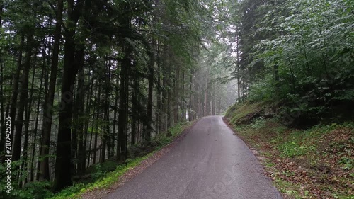 Atmospheric video of a quiet wet road winding through a dense pine forest with rain falling, creating relaxing nature ambient sound, misty woodland views, and peaceful misty mountain atmosphere.