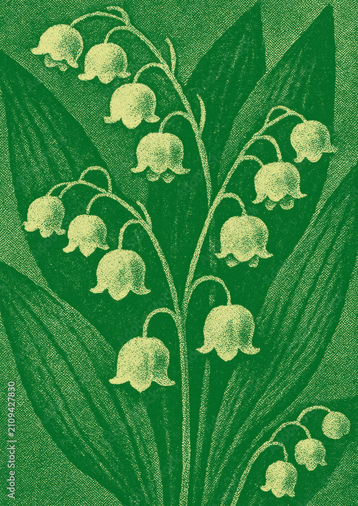 Obraz premium Vintage floral illustration elegance