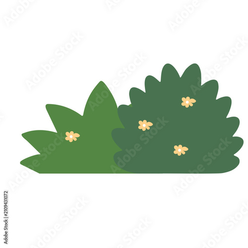 Green bush with small flowers. Flat vector illustration of a garden shrub.
