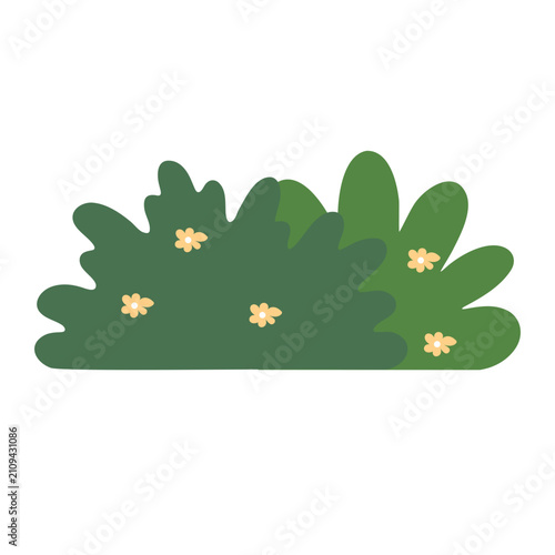 Green bush with small flowers. Flat vector illustration of a garden shrub.