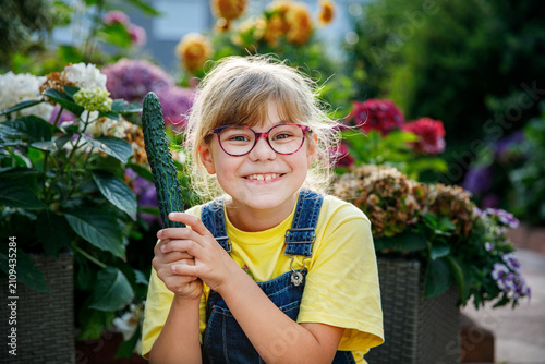 Little elementary school girl with eye glasses eating ripe fresh cucumber from the garden. Happy child enjoying healthy organic snack outdoors in summer