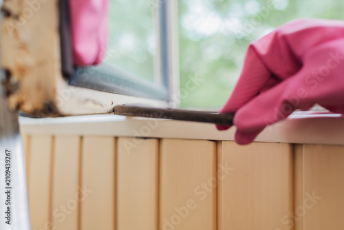 Obraz na plátně Close view of gloved hand prying off old rubber seal from balcony window frame w
