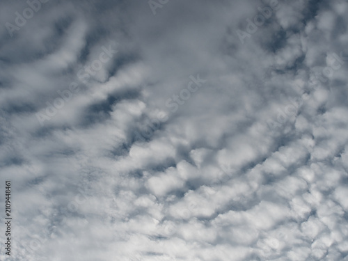 Foto Altocumulus clouds white and gray  with a patchy, puffy or wavy structure resembling ripples occurring in the middle level of the atmosphere