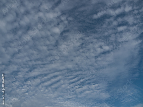 Bild auf Leinwand Altocumulus clouds white and gray  with a patchy, puffy or wavy structure resembling ripples occurring in the middle level of the atmosphere