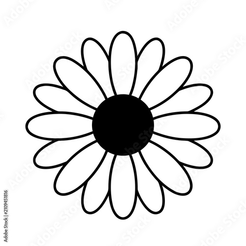 Simple flower outline icon vector illustration isolated on white background, daisy sunflower line art element