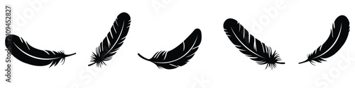 Foto Feather silhouette vector icon set