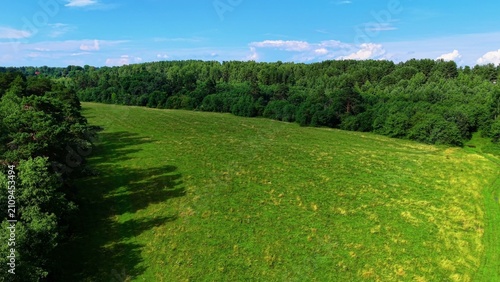 Lush green grassland extending under clear blue skies with scattered trees and vibrant foliage