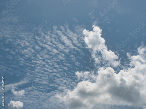 Quadro su tela Clear blue sky with thin white clouds forming patterns resembling fish scales or ripples—specifically cirrocumulus clouds often referred to as a buttermilk sky