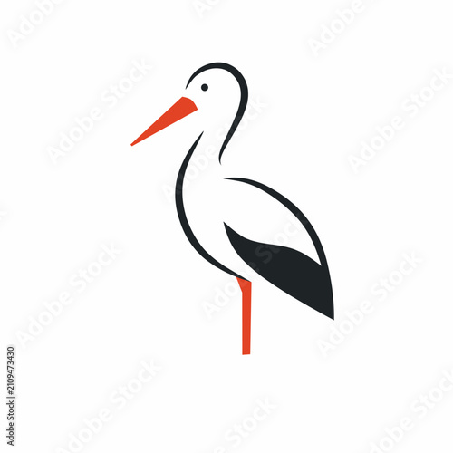 Photos white stork ciconia