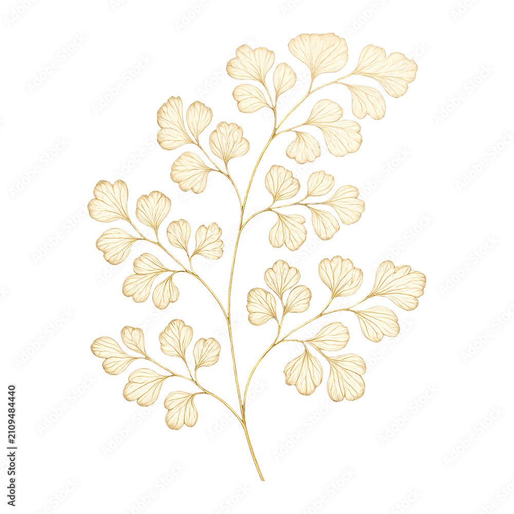Obraz premium PNG Elegant botanical gold illustration