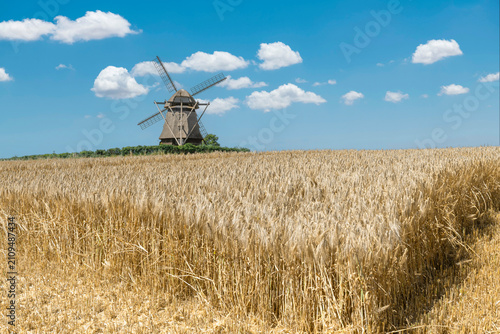A partially harvested grain field with an old grain mill in the background – 4589